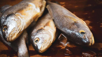 Cá vốn là món ăn bổ dưỡng nhưng không phải lúc nào cũng an toàn: Có 4 loại cá tốt nhất nên tránh xa