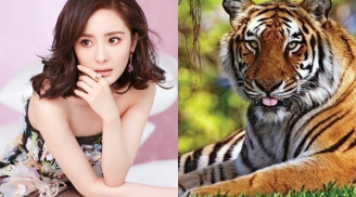 Gà gáy sang canh ngày 1/11 âm lịch: 3 con giáp được nhận lộc trời ban, tiền bạc tiêu không cần phải nghĩ