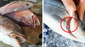 Đây là 3 loại cá 'bẩn nhất chợ', bị liệt vào 'danh sách đen', mua về chỉ rước bệnh cho cả nhà
