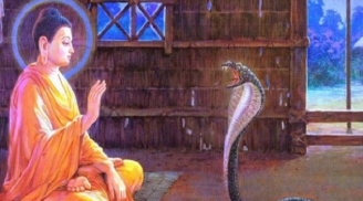 Phật dạy: Luôn bàn luận chuyện đúng sai, khuyết điểm của người khác chỉ khiến bạn tự hủy đi vận mệnh của mình