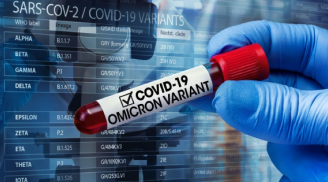 Thêm 90 triệu ca nhiễm sau 10 tuần phát hiện biến thể Omicron, WHO ra cảnh báo mới