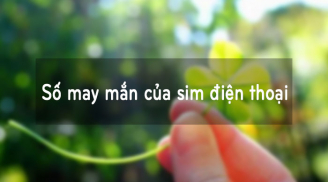 4 số điện thoại may mắn nhất năm Nhâm Dần, ai có được thật đáng chúc mừng