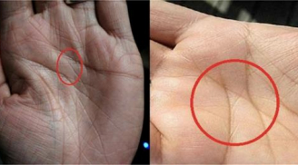 Đường chỉ tay cực phẩm chỉ 3% người trên thế giới sở hữu: Ai có sẽ giỏi giang, giàu sang phú quý hơn người