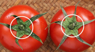 Mua cà chua chỉ cần nhìn vào điểm này mà chọn: 10 quả như 1, thơm ngọt, chín tự nhiên không có hóa chất