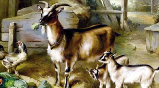 Thần Phật độ trì: 3 con giáp nhận tài lộc vô biên, đổi đời ngoạn mục trong 5 năm tới