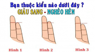 Giơ bàn tay 5 giây nhìn độ dài các ngón: Biết ngay tính cách và tương lai của bạn