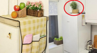 Nóc tủ lạnh có 3 món đồ này là 'chặn đứng tài lộc' vào nhà, của nả tiêu tan