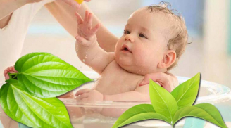9 loại lá tắm trị rôm sảy, mẩn ngứa, mụn nhọt mùa hè hiệu quả: Trẻ con dùng rất tốt