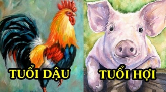 Trời không phụ người tài: 3 tuổi được Thần Phật che chở tay phải vơ núi Vàng, tay trái ôm núi Bạc 4 năm