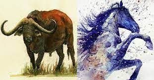 Tử vi tháng 7/2022 của 12 con giáp: Sửu có nhiều niềm vui, Ngọ đánh đâu thắng đó