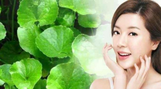 Rau má kết hợp thêm loại dầu này đảm bảo 'thổi bay' tàn nhang, sạm đen