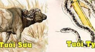 Song hỷ lâm môn: 3 cặp đôi thoát nạn Tam Tai đỏ cả tình lẫn tiền ngồi rung đùi hưởng 3 năm tới