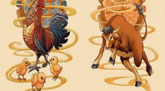 Ngọc Hoàng mở sổ gọi tên: 4 tuổi tiền vào như nước, đỏ cả tình lẫn tiền mua nhà sắm xe 4 năm tới