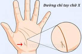 Đường chỉ tay cực phẩm chỉ 3% người trên thế giới sở hữu, không là kiệt xuất cũng giàu sang phú quý hơn người
