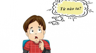 Từ tiếng Việt nào bỏ dấu nhưng vẫn giữ nguyên nghĩa? Người thông minh trả lời được ngay