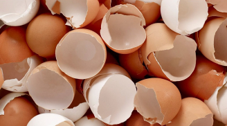 Đừng vứt vỏ trứng đi, bỏ vào ấm điện điều bất ngờ sẽ xảy ra: Công dụng tuyệt vời nhiều người đang tìm kiếm