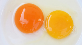 Lòng đỏ trứng màu đậm và nhạt, cái nào tốt hơn: Chuyên gia giải mã điều nhiều người lầm tưởng