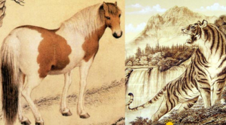 4 tuổi hút cạn lộc trời, trong nhà Thần Tài che chở, ra ngoài Phúc tinh nâng đỡ, giàu khủng 2 năm tới