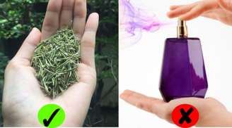 4 loại lá càng dùng cơ thể càng thơm: Không cần nước hoa vẫn diệt mùi hiệu quả