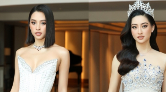 Những Hoa hậu sở hữu cái 'nhất' của Vbiz: Lương Thùy Linh với đôi chân dài 1m22, Tiểu Vy sở hữu gương mặt 'vàng'