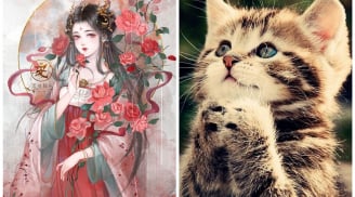 Tháng 9: Tinh Tú chiếu mạng, tài lộc bủa vây 3 tuổi này đỏ cả tình lẫn tiền, cuối năm đón tết linh đình