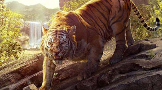 Cổ nhân có câu: 'Không sợ núi có hổ, chỉ lo hổ xuống núi': Vì sao lại thế?