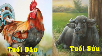 Vợ chồng thuộc 3 cặp con giáp này là định mệnh trời sinh, vơ vét hết tiền của thiên hạ