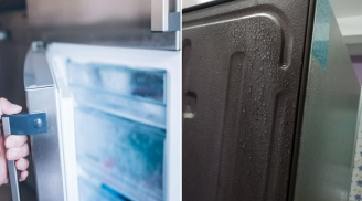 4 cách khắc phục tình trạng tủ lạnh đổ mồ hôi, đọng nước