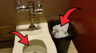 Nên vứt giấy vệ sinh vào bồn cầu hay thùng rác? Câu trả lời đơn giản nhưng khiến ai cũng bất ngờ