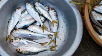 Đi chợ thấy 5 loại cá này hãy mua ngay: Toàn cá tự nhiên, không nuôi công nghiệp, vừa sạch vừa bổ