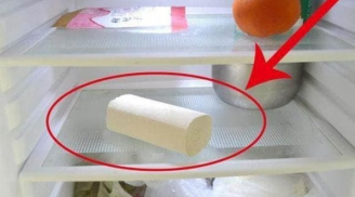 Đặt cuộn giấy vệ sinh vào tủ lạnh: Hoá đơn tiền điện giảm nửa, thêm nhiều công dụng có lợi mà ít người biết