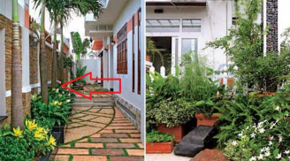 Nhà nghèo tới mấy cứ trồng 3 cây này trước cửa, 1 cây sau nhà con cháu đời đời phú quý, là cây gì?