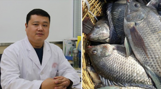6 loại cá rẻ mấy cũng đừng mua cho chồng con ăn: BS cũng sợ vì nhiều thủy ngân, nhiễm độc