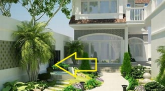 4 loại cây ông bà trồng con cháu hưởng lộc, dù nghèo tới mấy cũng chớ dại chặt đi