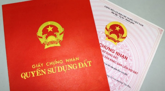 7 trường hợp đất không được cấp sổ đỏ trong năm 2022, người dân nên biết để không thiệt thòi