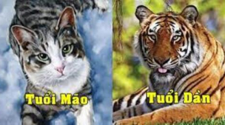 Đàn ông thuộc 4 tuổi này số đào hoa, phong lưu, dễ ngoại tình bậc nhất: Chị em phải giữ cho thật chắc