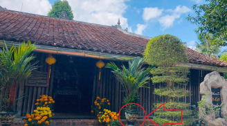 4 thứ cũ rích càng để lâu trong nhà càng sinh phúc khí giàu có, chớ dại vứt đi kẻo tán gia bại sản