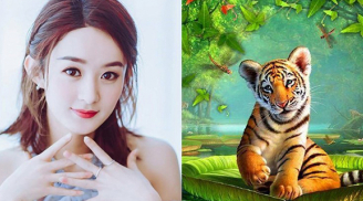 Giữ tháng 10 dương ai đen cứ đen: 4 tuổi này đỏ như son, một bước đổi đời giàu sang sung túc