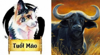 Cuối tháng 9 âm: 3 con giáp được ăn lộc Thánh, bước chân ra ngoài có Quý Nhân chỉ lối may mắn liên tục