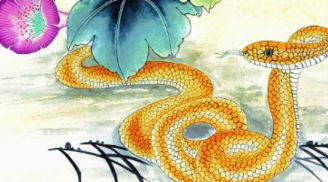 Nhà có 4 con giáp này cuối năm 2022 vừa giàu vừa may, ngoài có quý nhân, trong tiền chật két