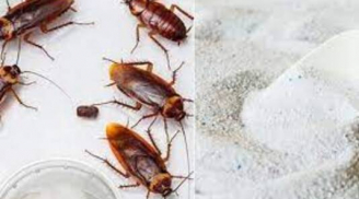 Đường trộn với bột giặt: Công dụng tuyệt vời cả đàn ông và phụ nữ đều thích, ai không biết quá phí