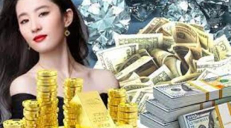 Chúc mừng 3 con giáp được bề trên ban lộc, tháng 11 giàu sang kéo đến, tiền tài rực rỡ, đón Tết linh đình