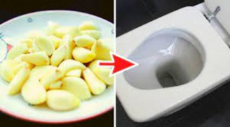 Thả 1 tép tỏi vào bồn cầu: Biết công dụng tuyệt hay này, ai cũng muốn học theo