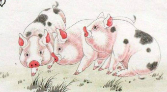 Thánh nhân đãi kẻ khù khờ: 4 tuổi hiền lành hưởng vinh hoa, tài lộc đổ về như thác lũ năm 2023