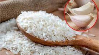 Vùi tép tỏi vào thùng gạo: Tác dụng cực hay, giải quyết vấn đề nhiều nhà gặp phải