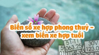 Nhìn biển số xe 5 giây: Biết ngay biển số nào giúp chủ nhân phát tài, số nào vận hung đeo bám cực xấu