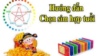 Cách chọn số điện thoại hợp tuổi, hợp mệnh cho 12 con giáp để hút tài lộc, tiền bạc