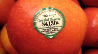 Nhân viên siêu thị tiết lộ vì sao đừng bao giờ mua trái cây có mã vạch bắt đầu bằng số 8