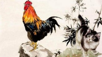 Thánh nhân đãi kẻ khù khờ: 3 tuổi hết sạch tai ương Phật Bà ban lộc, tiền về chật két trong tháng 11 Âm