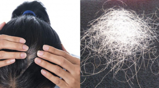 Lý do không nên nhổ tóc bạc: Có 4 cái hại lớn ai cũng cần biết